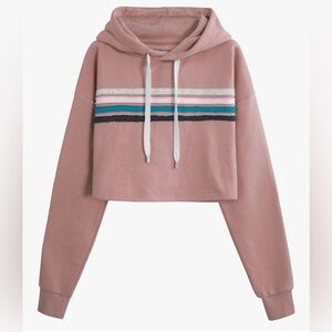 NWT Cropped Hoodie with Retro Stripes